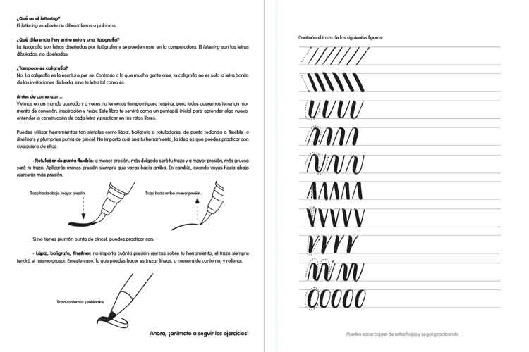 Coloreanding-  Lettering - Imagen 3