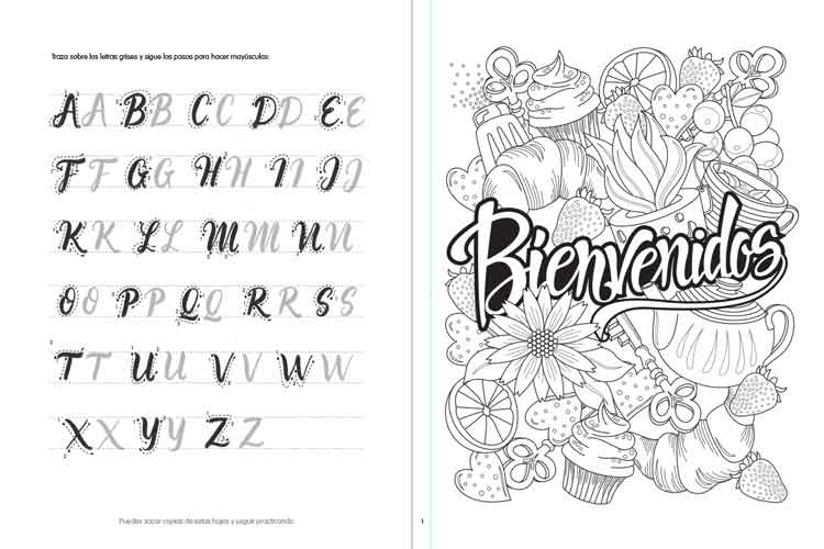 Coloreanding-  Lettering - Imagen 4