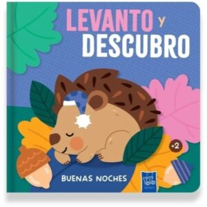 Levanto y Descubro - Buenas Noches